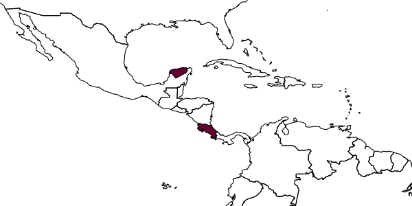 map of Labena gauldiana     Bordera, González-Moreno & Sääksjärvi, 2010
